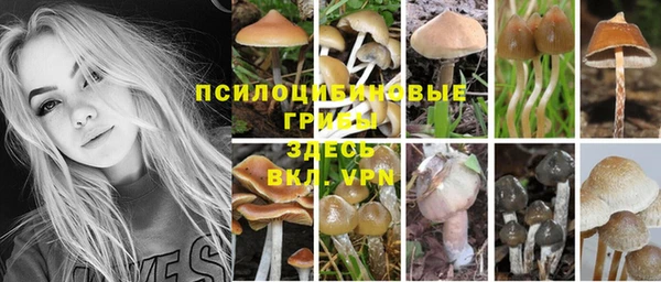 apvp Абаза