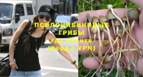 apvp Абаза