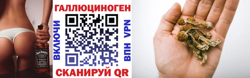 kraken ССЫЛКА  маркетплейс состав  Псилоцибиновые грибы Psilocybine cubensis  Судогда 