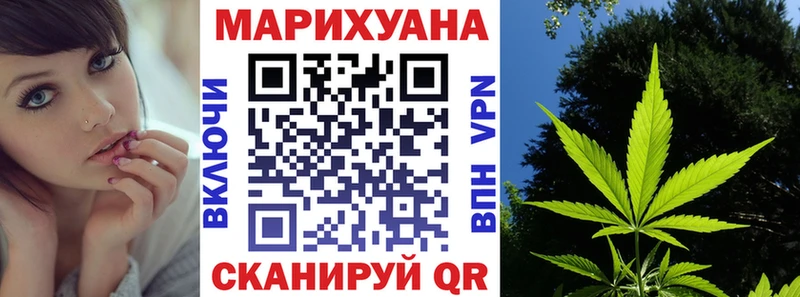 цена наркотик  Судогда  Конопля ГИДРОПОН 